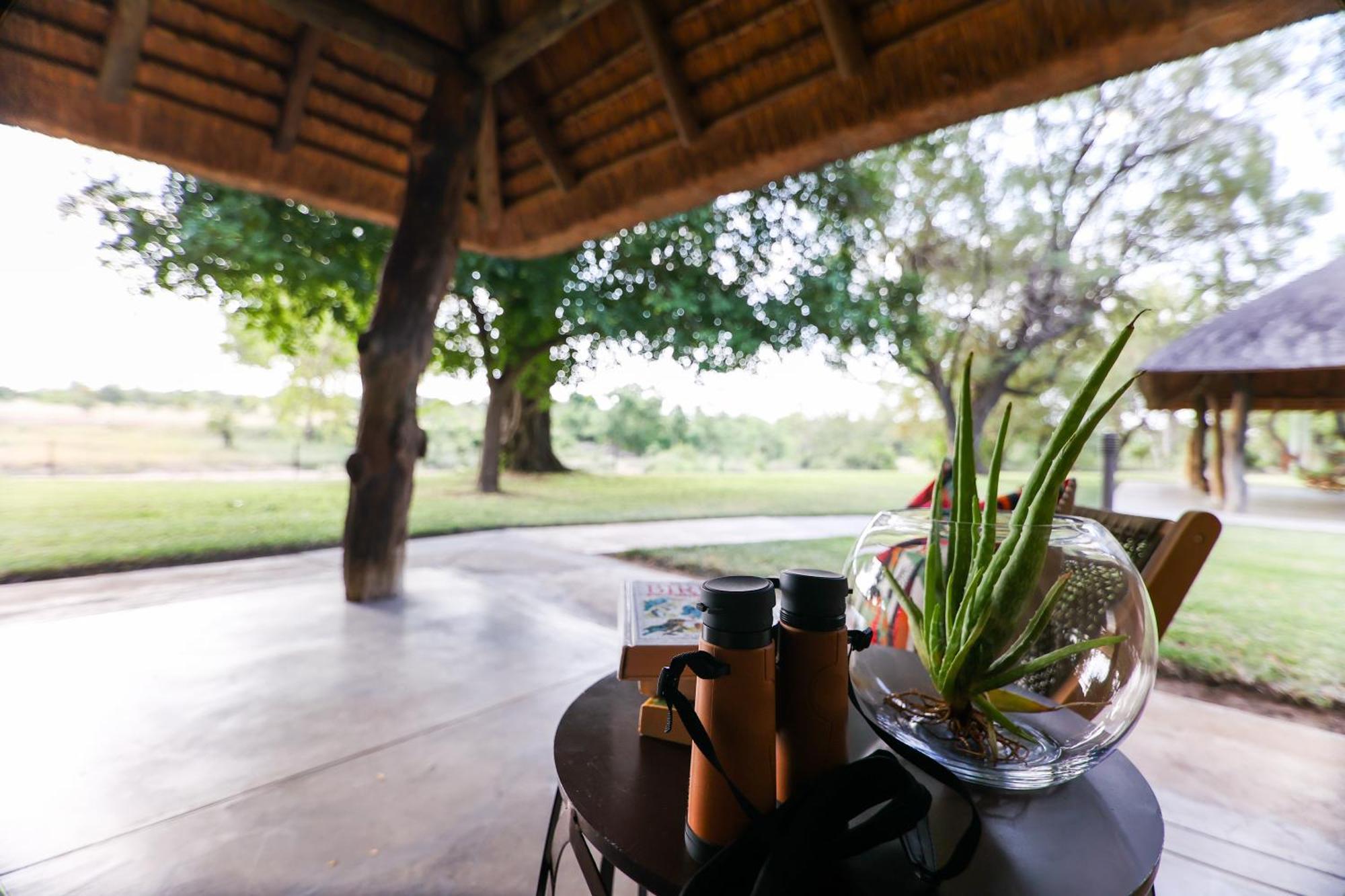 Senalala Safari Lodge Klaserie Private Nature Reserve Exterior foto